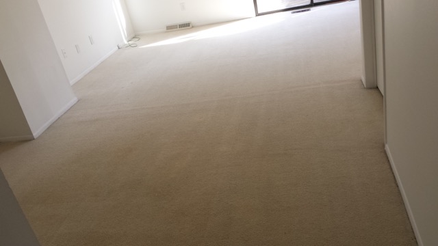 Carpet Cleaning Carpet Cleaning