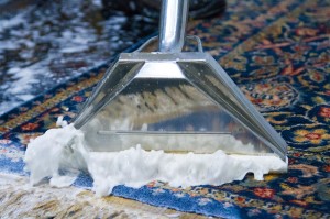 Fibercare Carpet & Upholstery Cleaning & Restoration Jenison MI