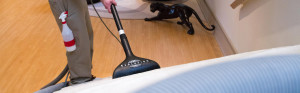 Fibercare Carpet & Upholstery Cleaning & Restoration Jenison MI